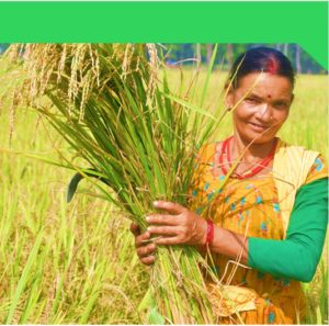 Land context study_ Shuklafata Municipality_Kanchanpur_cover