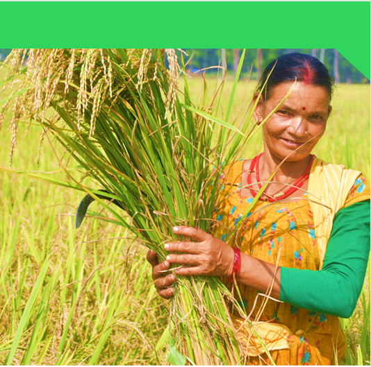Land context study_ Shuklafata Municipality_Kanchanpur_cover